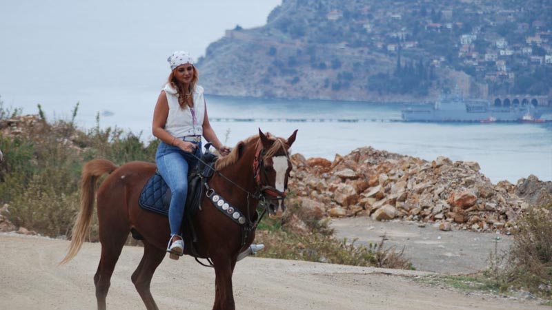 alanya horse farm