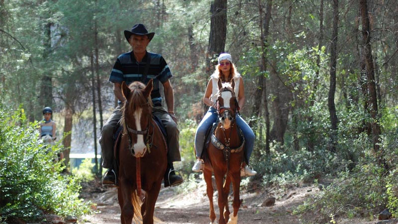 alanya horse ranch