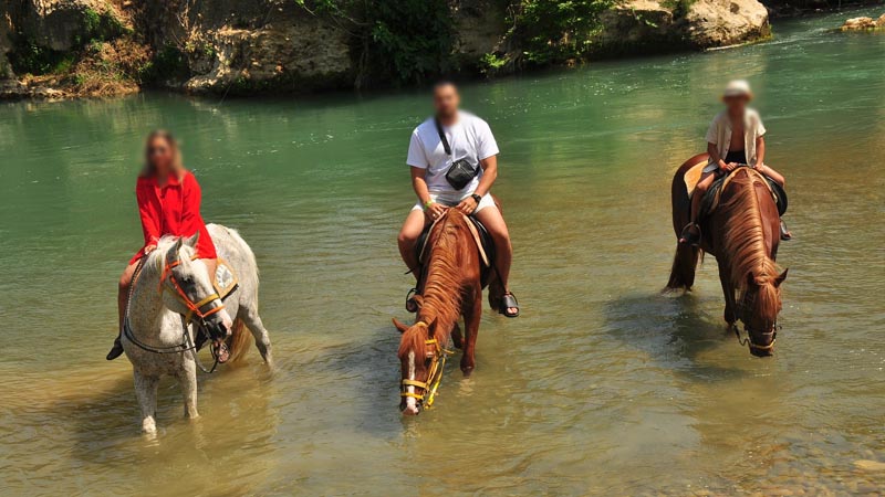 private horse riding activity